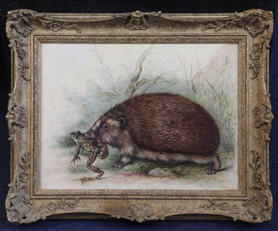 James E. Bourhill (fl.1880-87) Hedgehog carrying a frog, 11 x 14.5in.